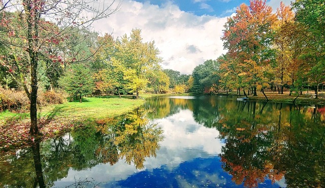 Discover Private Lakehouse 100 acre Farm Folsom Lake