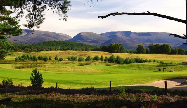 Discover the charm of Munro View, a delightful two-bedroom semi-detached single-storey property that