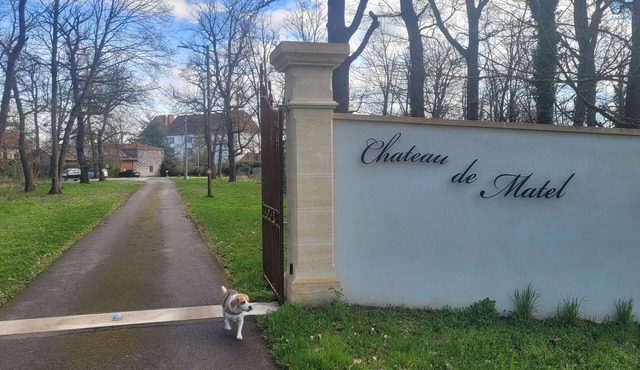 Discover the Gîte des Loges, a haven of peace in the heart of Château de Matel!