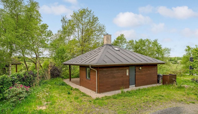 Discover the heath in West Jutland - Enjoy the beautiful nature of Denmark.