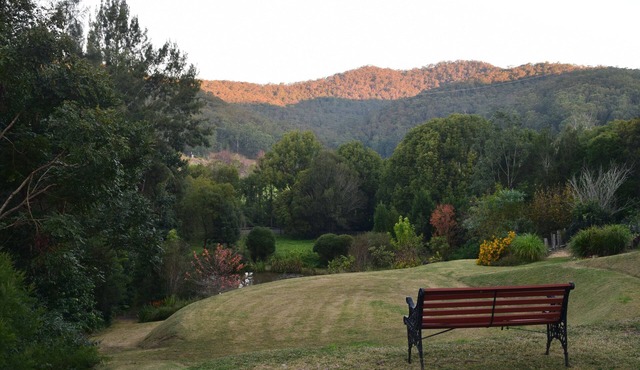 Discover the tranquility of Central Coast Hinterland's Breathtaking Beauty