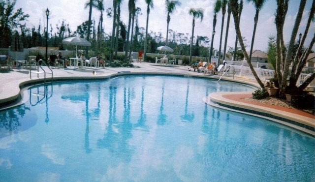Disney's attractions while staying at an affordable resort and pet friendly!