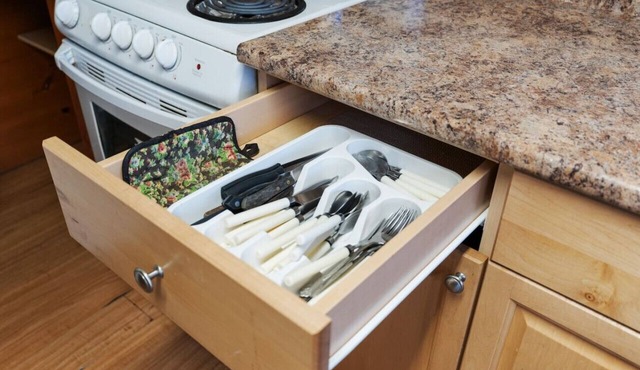 Dive into Nature at Rice Lake