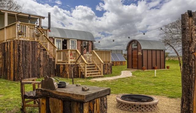 Dixie, set in a wonderful wild flower meadow in Elsing, Norfolk