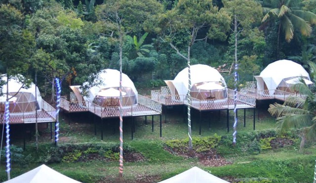Dmangku Farm Serang
