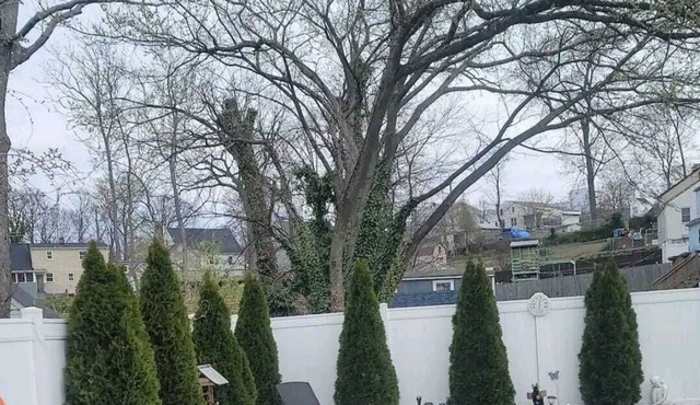 DMV Maryland, Washington DC FAMILY HOME