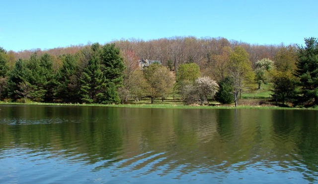 Do Friendly Retreat w/Deck & Meadow Views