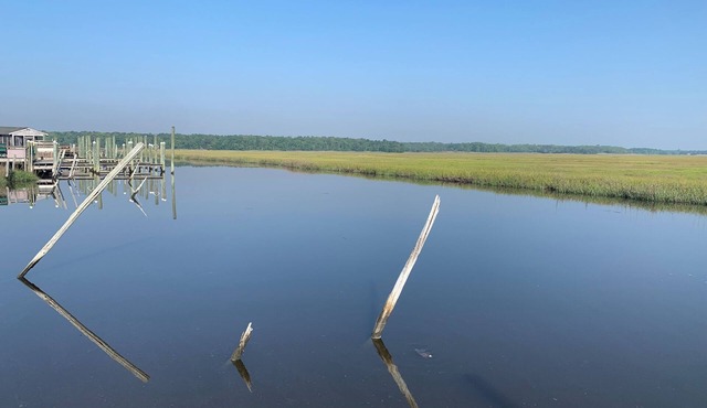 Dock side studio with water views!