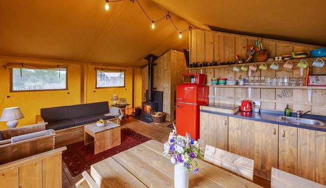 Dog friendly glamping accommodation in Ripon, Yorkshire