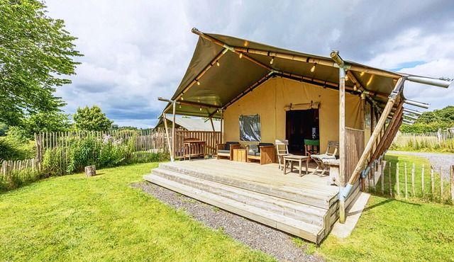 Dog friendly glamping accommodation in Ripon, Yorkshire