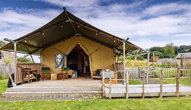 Dog friendly glamping accommodation with hot tub in Ripon, Yorkshire