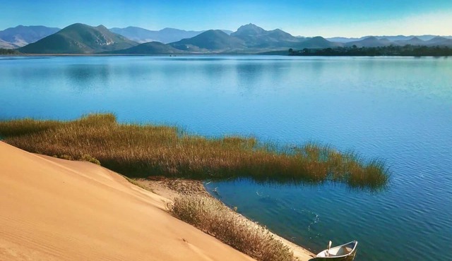 Dog Friendly, Allergen-free 5 minute walk to the bay and eateries