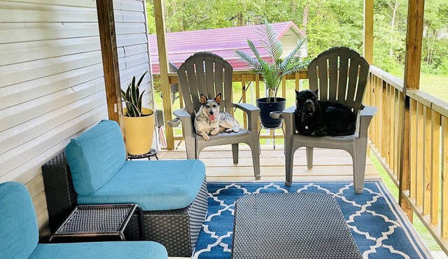 Dog Friendly 🐶 2 bedroom 2 bath Vacation home near Lake Livingston
