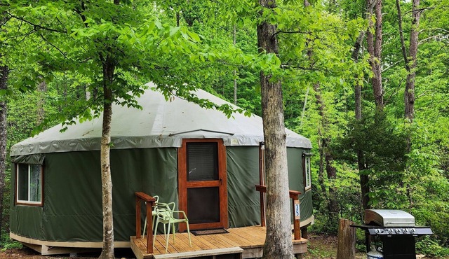 Dog friendly 30' Yurt, large dome skylight, king bed, 2 bedrooms, sleeps 6.