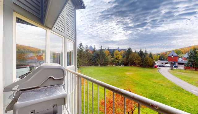 Dog-friendly skiier's condo with high-speed WiFi, gas fireplace, & central AC