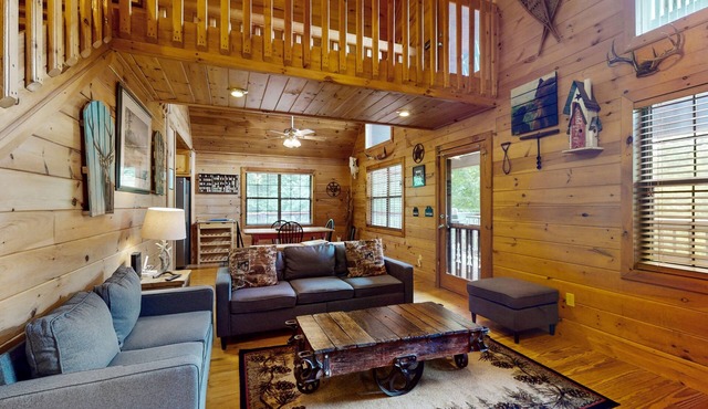 Dog-friendly cabin w/private hot tub, mountain views, two fireplaces, ping-pong