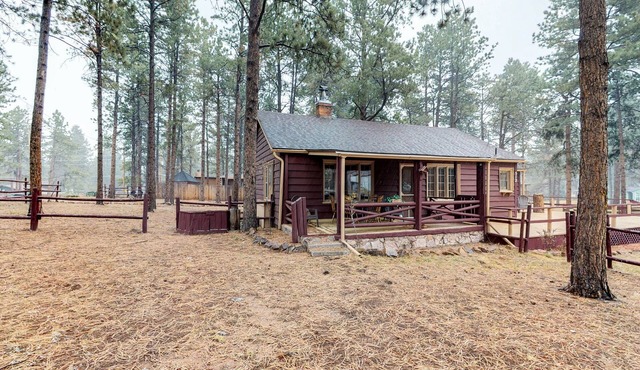 Dog-friendly cabin w/full kitchen, free WiFi, great location & updated bathroom