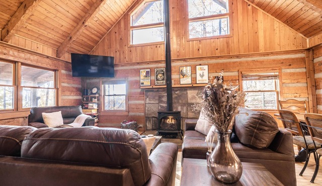 Dog Friendly Cabin near Asheville. Fenced Yard, Hot Tub, WiFi, Fireplace.