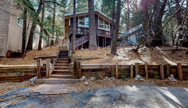 Dog-friendly cabin surrounded by trees and wildlife with fireplace & deck