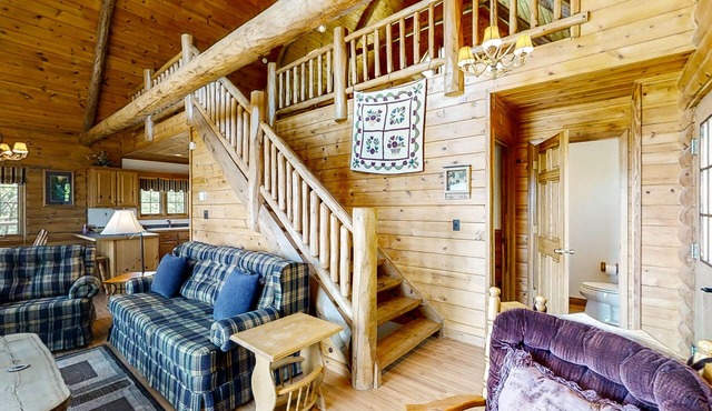 Dog-friendly cabin w/jetted tub, pool table, washer/dryer, gas grill, firepit