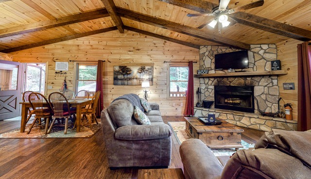 Dog-friendly cabin with private hot tub, fenced yard, and gorgeous location
