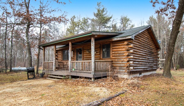 Dog-friendly cabin with gas fireplace, firepit, porch, & shared pond access