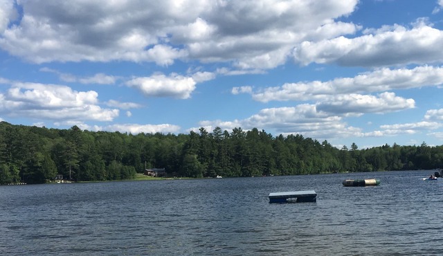Dog-Friendly Cabin w/Waterfront Access | Fenced Yard