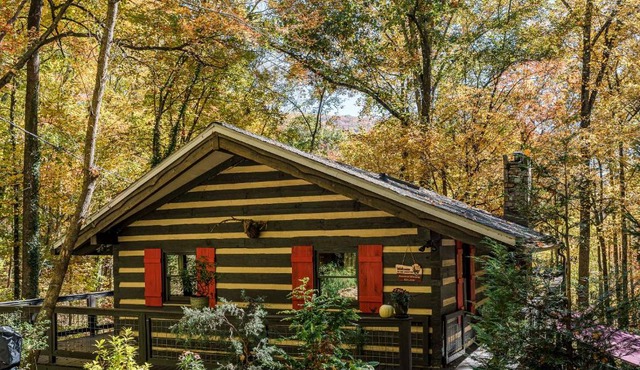 Dog-Friendly Cabin with Decks and Mountain Views!