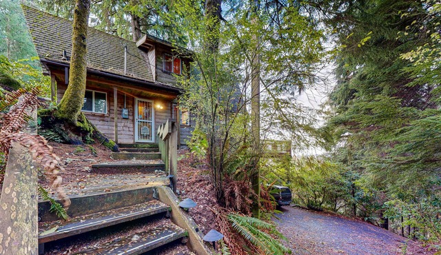 Dog-friendly cabin with ocean view, fast WiFi, fireplace, and washer/dryer