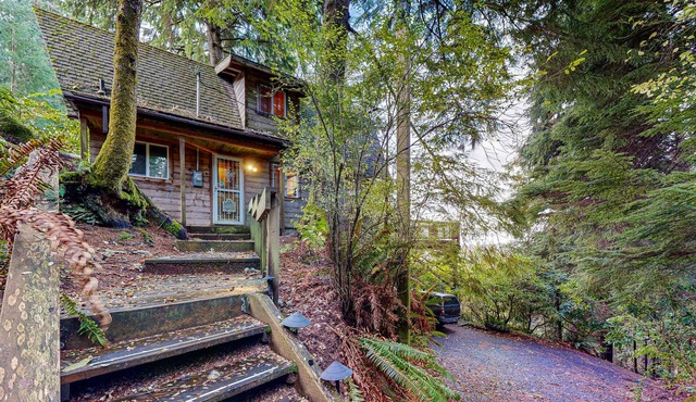 Dog friendly cabin with ocean view fast WiFi fireplace and washer dryer