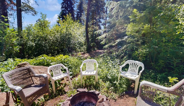 Dog-friendly cabin with a great outdoor space in a peaceful location