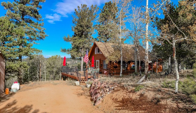Dog-friendly cabin with mountain views, fireplace & wraparound deck