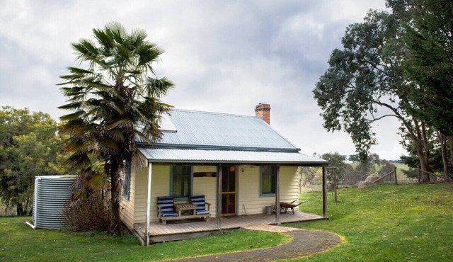 Dog friendly cosy and comfortable maritime themed cottage