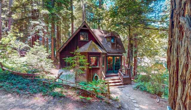 Dog-friendly cottage in the redwoods with private hot tub & amazing deck