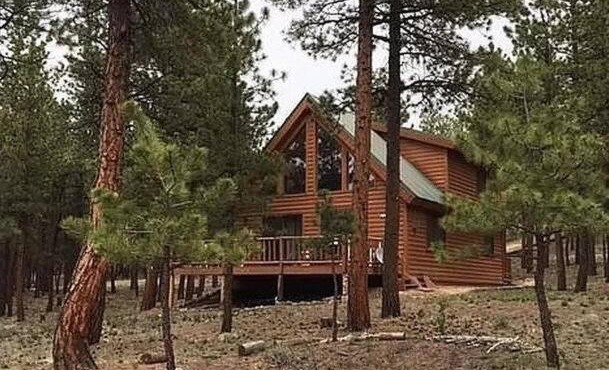 Dog Friendly, Cozy 3 Bdrm Cabin in the Woods