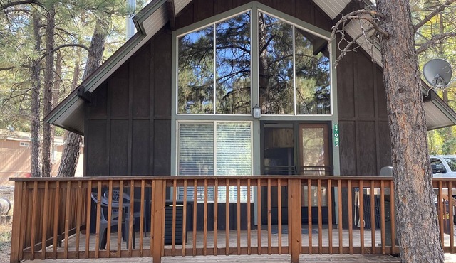 Dog Friendly Cute cabin on quiet lot with lots of pines.