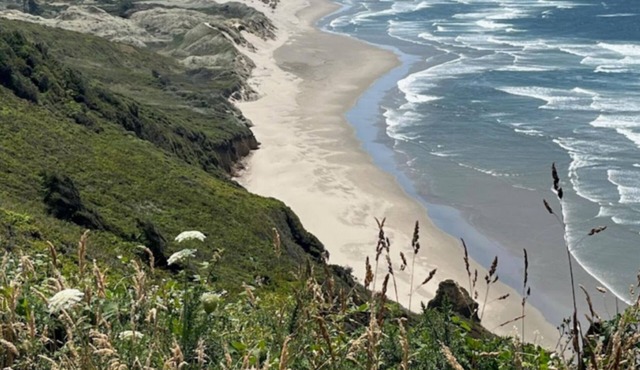 DOG Friendly Getaway @ Baker Beach