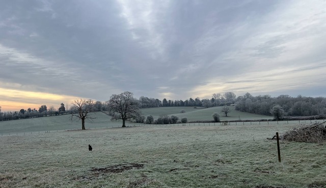 Dog friendly holiday home in the Cotswolds - Guinea Cottage