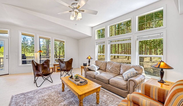 Dog-friendly home on 200 acres with mountain view, fishing ponds & river access