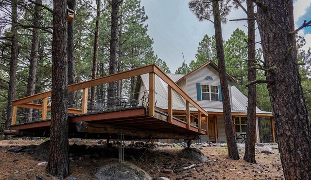 Dog-Friendly Home w/ High-Speed WiFi, Washer/Dryer, & a Private Gas Grill!