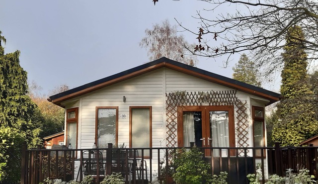 Dog friendly lodge In a tranquil setting with 150 acres of beautiful forest