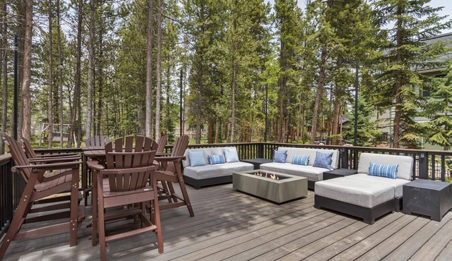 Dog-friendly, luxe alpine chalet; hot tub; close to Peak 8 and downtown
