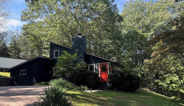 Dog Friendly/Mid-Modern Mountain Retreat! Waynesville North Carolina