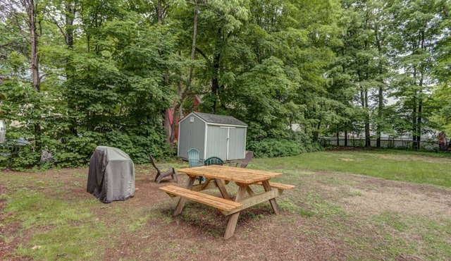 Dog Friendly Minutes to North Conway downtown