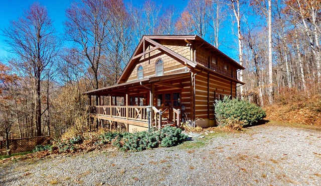 Dog-friendly mountain home with a playroom, enclosed yard, wood stove, & W/D