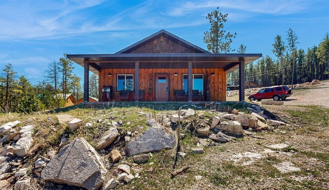 Dog-friendly mountain view cabin with a washer/dryer, BBQ, & full kitchen