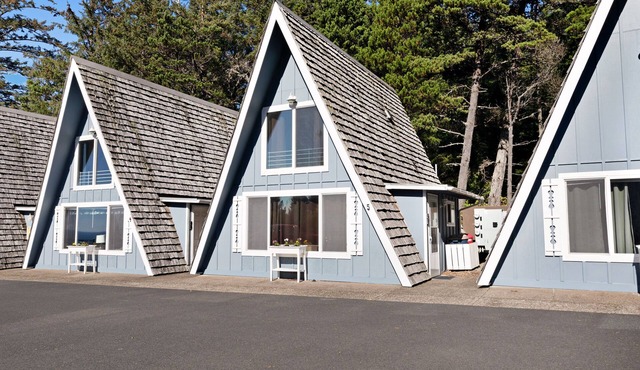 Dog-Friendly Oceanfront Chalet with Views of Pacific
