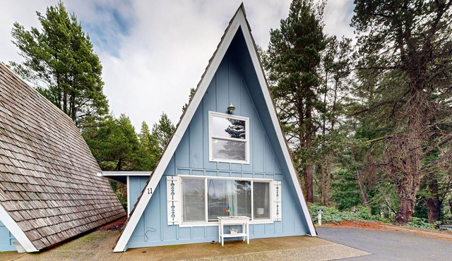 Dog-Friendly, Oceanfront Cottage with WiFi, Firepit, Beach Trail