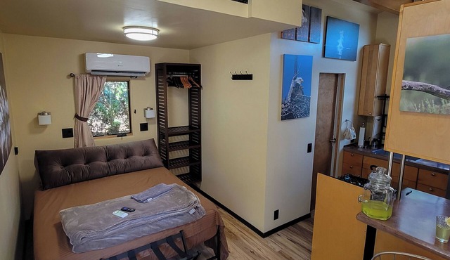 Dog friendly, peaceful 1 BR cottage w/BA, AC on beautiful Lake Hodges