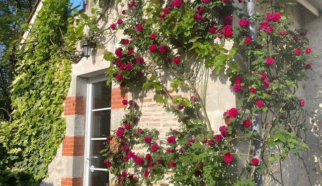 Dog-Friendly Retreat for Couples